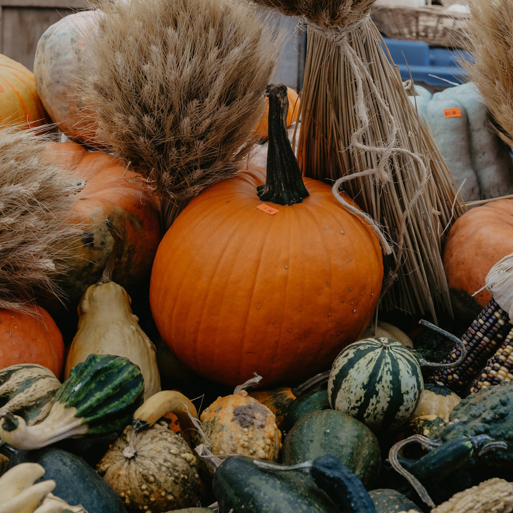 Autumn Outdoor Cooking – Rozza.Cooking