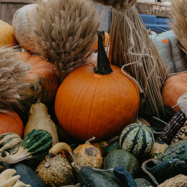 Autumn Outdoor Cooking