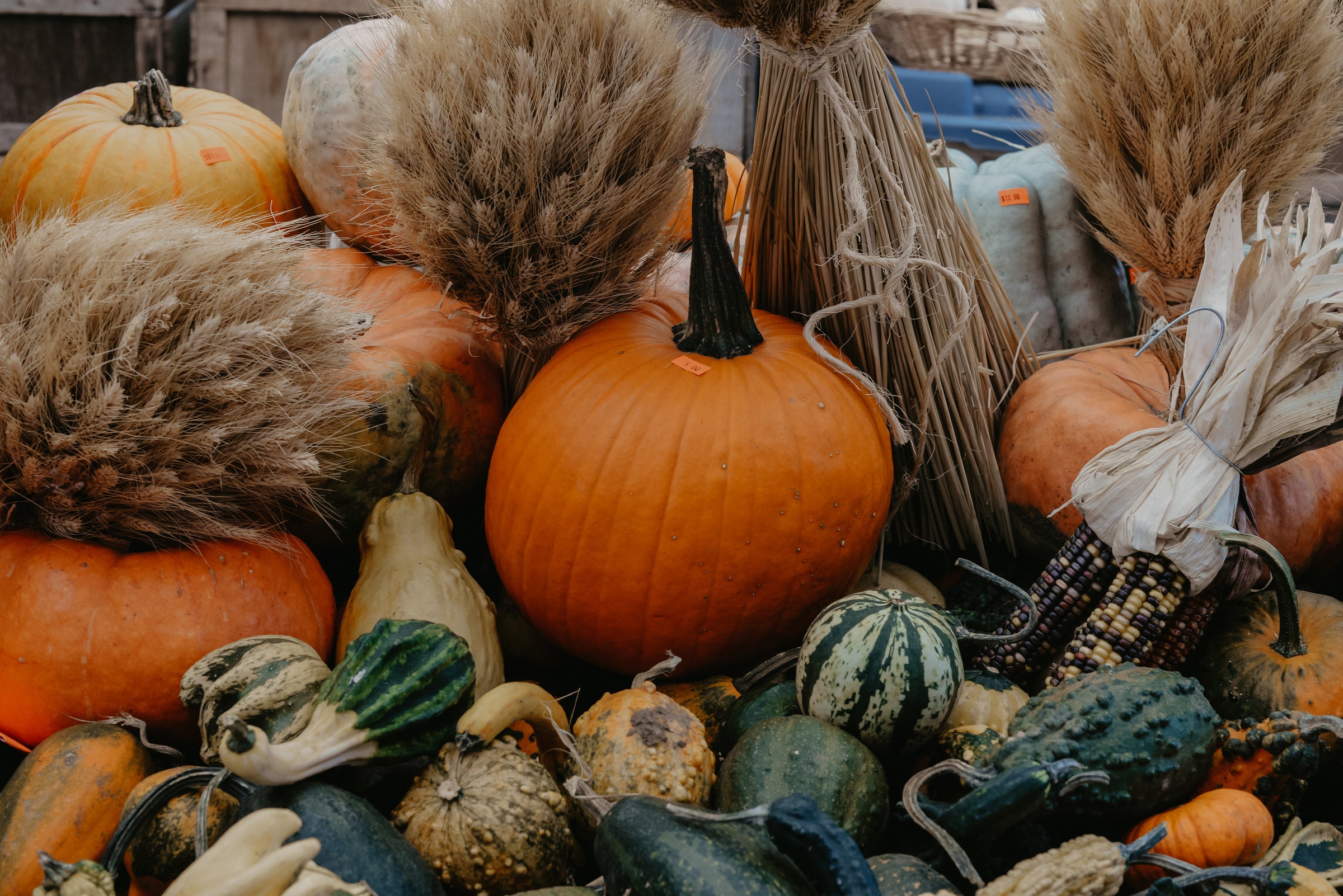 Pumpkins for Autumn cooking